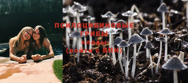 каннабис Алзамай