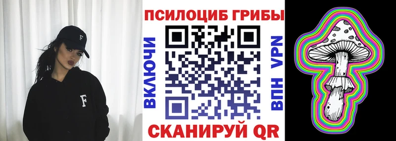 Галлюциногенные грибы Psilocybe  Приморск 
