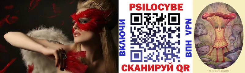 Псилоцибиновые грибы Cubensis Приморск